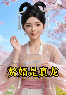 赘婿是真龙