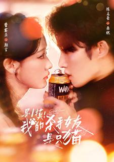 别摸！我的杀手女友是只猫