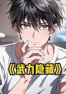 武力隐藏
