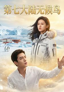 第七大陆无候鸟