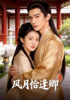 风月恰逢卿