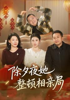 除夕夜她整顿相亲局