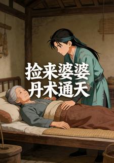 捡来婆婆丹术通天