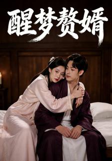 醒梦赘婿