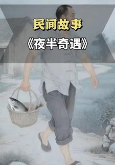 夜半奇遇