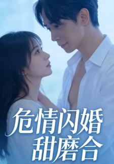 危情闪婚甜磨合