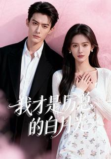 我才是厉总的白月光