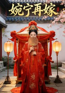 婉宁再嫁