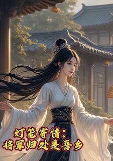 灯笼寄情：将军归处是吾乡