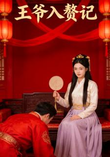 王爷入赘记