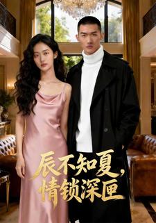 辰不知夏，情锁深匣