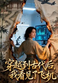 穿越到古代后，我看见了飞机