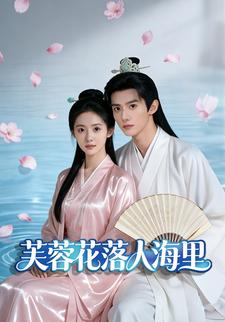 芙蓉花落人海里