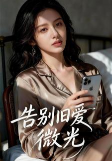 告别旧爱微光