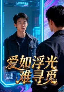 爱如浮光难寻觅