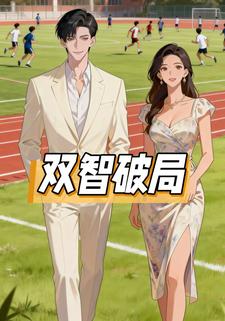 双智破局
