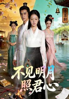 不见明月照君心