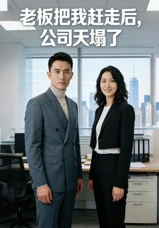 老板把我赶走后，公司天塌了