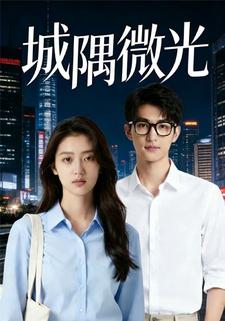城隅微光