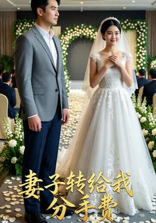 妻子转给我分手费