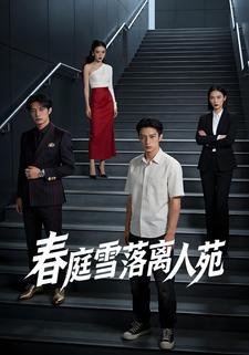 春庭雪落离人苑