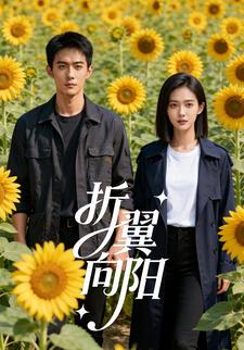 折翼向阳