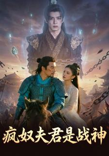 疯奴夫君是战神