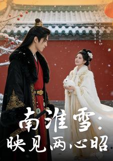 南淮雪：映见两心昭