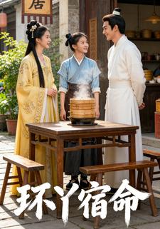 环丫宿命
