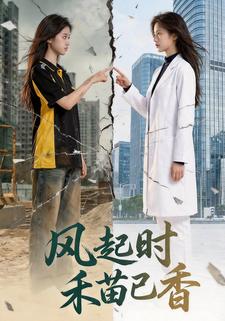 风起时禾苗已香