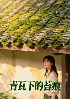 青瓦下的苔痕