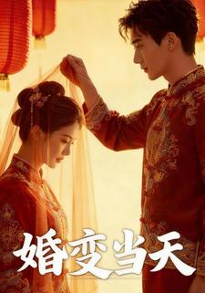 婚变当天