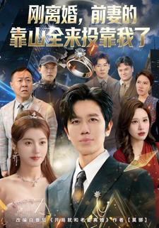 刚离婚，前妻的靠山全来投靠我了