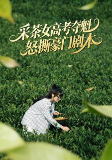 采茶女高考夺魁，怒撕豪门剧本