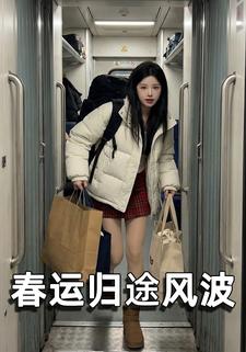 春运归途风波