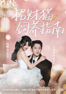 招财猫饲养指南