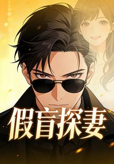 假盲探妻