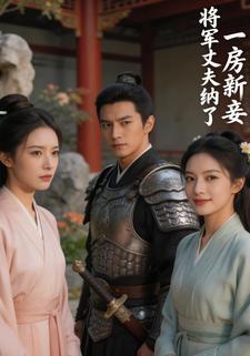 将军丈夫纳了一房新妾