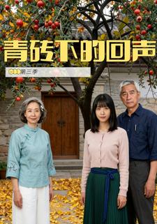青砖下的回声第三季