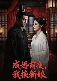 成婚前夜,我换新娘