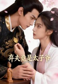 弃夫竟是太子爷
