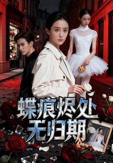 蝶痕烬处无归期