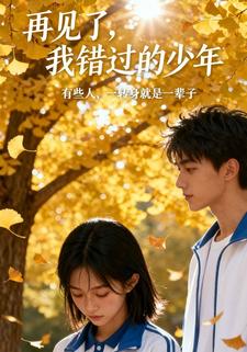 再见了，我错过的少年