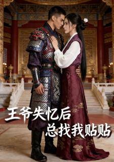 王爷失忆后总找我贴贴