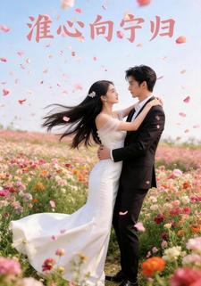 淮心向宁归