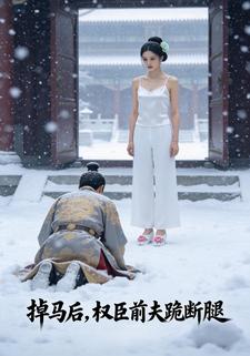 掉马后，权臣前夫跪断腿