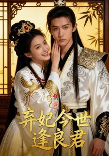 弃妃今世逢良君