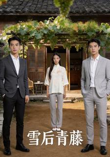 雪后青藤