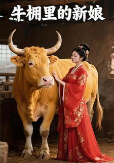牛棚里的新娘