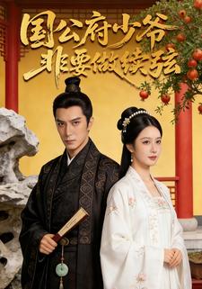 国公府少爷非要做续弦